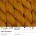wloczka gazzal wool star rudy 3830.jpg