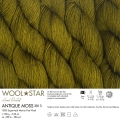 wloczka gazzal wool star antique-moss-3813a.jpg